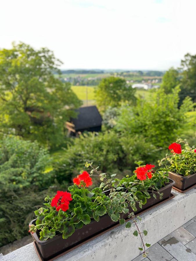 Gruenberg Apartments กมุนเดน ภายนอก รูปภาพ